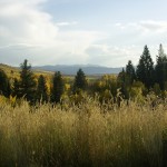 Teton Valley